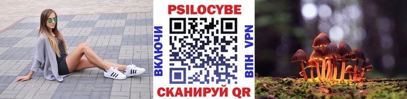Псилоцибиновые грибы Psilocybe  Холмск 