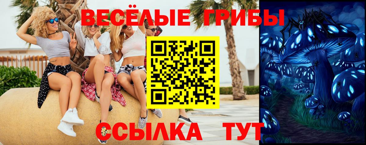 Псилоцибиновые грибы Cubensis Холмск